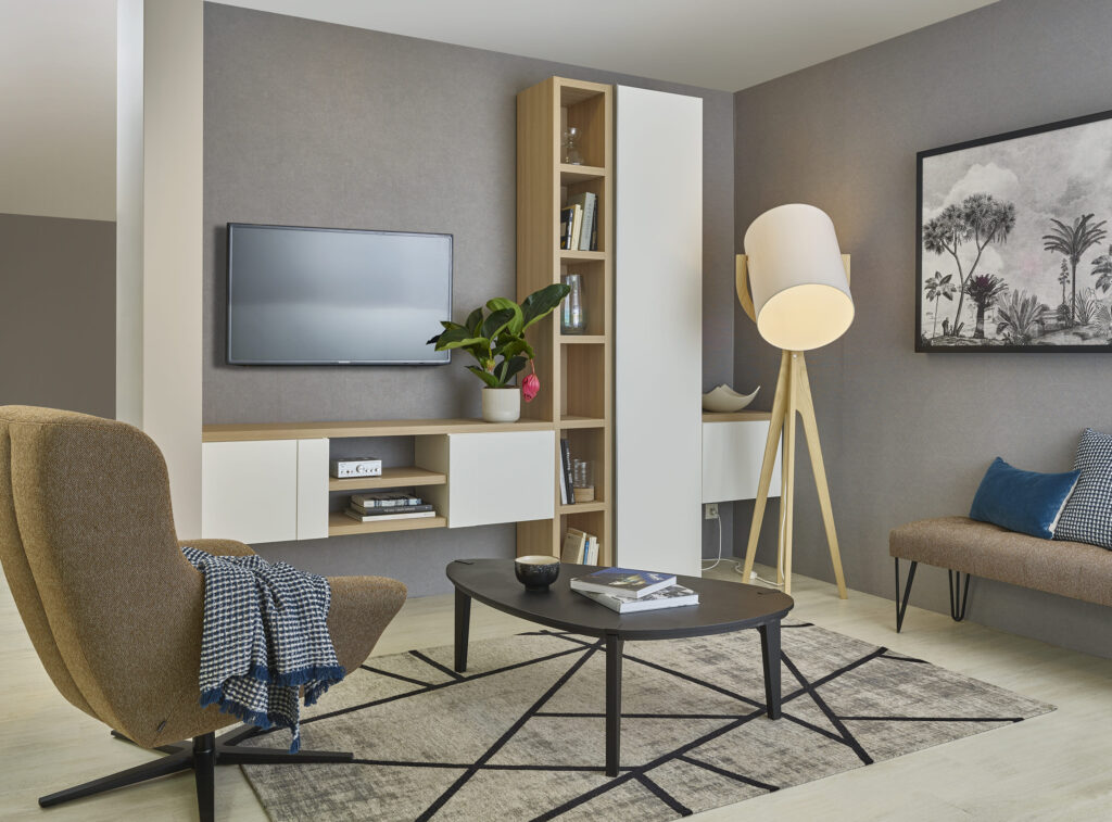 salon fauteuil